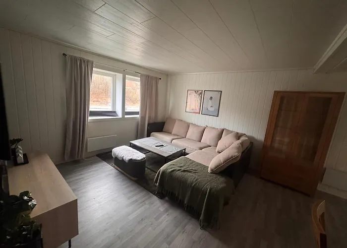 Large Centrally Located In Gravdal Daire